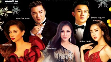 Cộng đồng Bắc Cali tổ chức biểu tình chống Đàm Vĩnh Hưng.