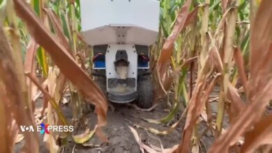 Nông dân Mỹ thận trọng trước các công nghệ tự động hoá canh tác