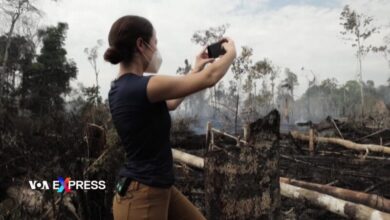 Hiểm nguy rình rập cánh nhà báo đưa tin về rừng Amazon