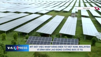 Mỹ siết việc nhập hàng điện tử Việt Nam, Malaysia vì dính đến lao động cưỡng bức ở TQ