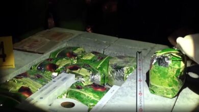 Vụ án ma túy xuyên quốc gia có tới 18 án tử hình