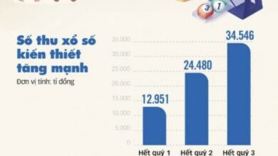 Trong 10 tháng, mỗi ngày thu hơn 14 tỷ đồng tiền thuế từ vé số