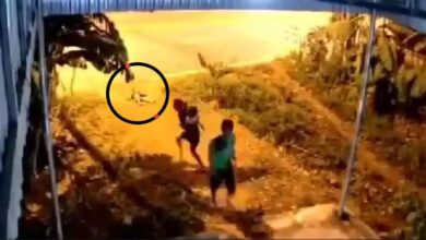 Giận vợ, giận chồng, hành hạ con