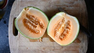 FDA mở rộng thu hồi dưa đỏ nhiễm khuẩn salmonella