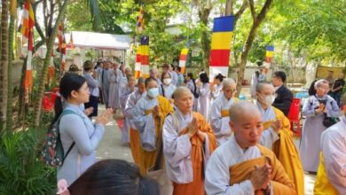 Vài câu chuyện từ lễ tang Hòa thượng Thích Tuệ Sỹ