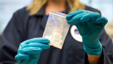 Mỹ bỏ chế tài Viện Khoa học Pháp y Trung Quốc để Bắc Kinh giúp chặn fentanyl