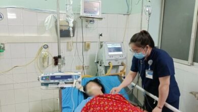 Suýt chết vì bị kiến xoan ‘tấn công’