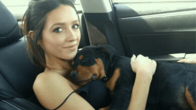 Bắt giữ nghi can liên quan đến nhân viên nhà hàng Laguna Beach tử vong