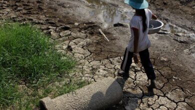 Vì sao Đồng Bằng Sông Cửu Long sẽ chết