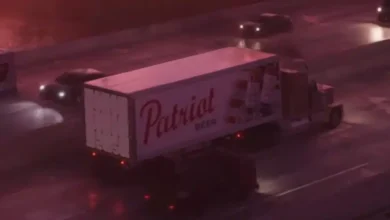 All the sneaky and finer details you missed in the GTA VI trailer