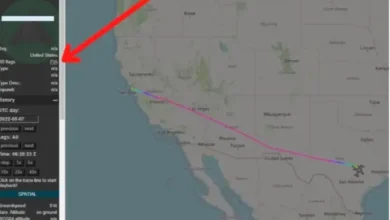 Elon Musk spent more than 48 days in the air this year