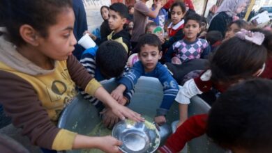 Khó tiếp cận viện trợ, cư dân Gaza giết lừa, xin ăn cầm cự qua ngày