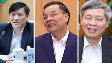 Các ông “Củi”