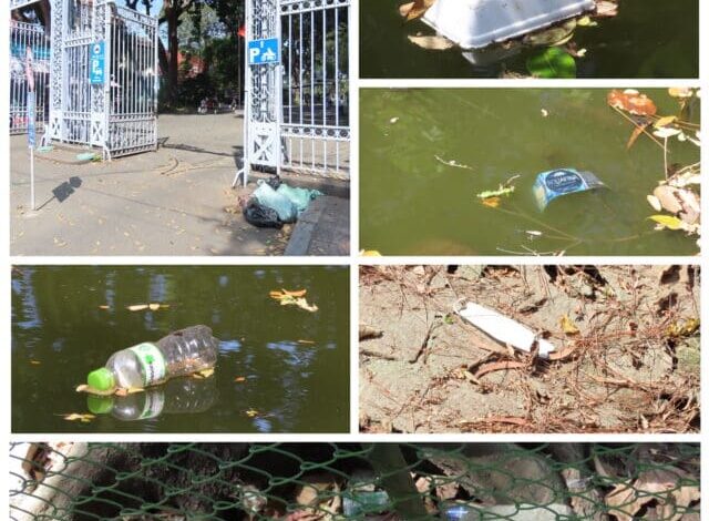 Tây ở Sài Gòn, Noel này đi đâu chơi? Tây ở Sài Gòn, Noel này đi đâu chơi?