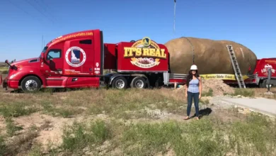 This giant potato is actually a beautiful Airbnb you can stay in
