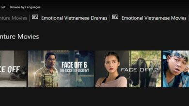 Giới điện ảnh Việt Nam lặng lẽ tìm đường đến phương trời mới