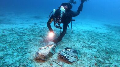 8,000-year-old relic found at bottom of ocean could lead to ‘mind-blowing’ discovery