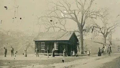 Man who bought old photo for  discovers its true multi-million value