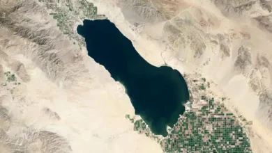 Race on to extract 0b worth of ‘white gold’ discovered beneath California lake