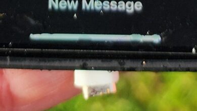 iPhone survives 16,000-ft drop from Alaska Airlines flight “perfectly intact”