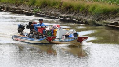 ĐBSCL: dự báo xâm nhập mặn khốc liệt và thực tế chuẩn bị?