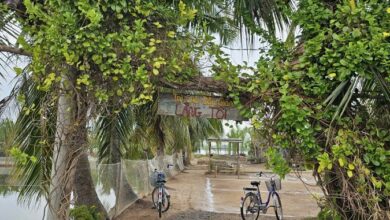 Đảo Cồn Chim: một mô hình phát triển cho ĐBSCL?