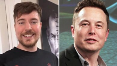 Elon Musk responds to MrBeast rejection with X revamp