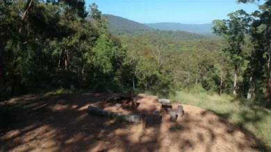 Homeowner discovers gold mine hidden in his backyard