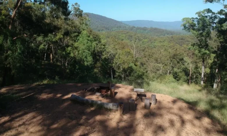 Homeowner discovers gold mine hidden in his backyard