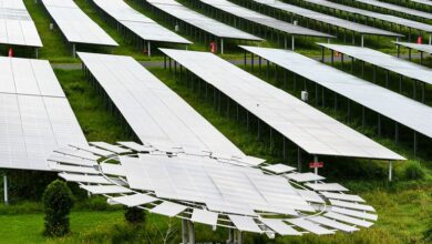 Năng lượng xanh: Việt Nam thất bại vì ngành điện bị phân mảnh