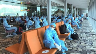 Kiều bào giận cụ Nguyễn Du