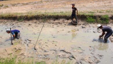 Thiếu nước lan đến Thủ Đức: có phải do ảnh hưởng hạn mặn?