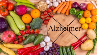 Cấy ghép ‘tế bào trẻ hóa’ để điều trị bệnh Alzheimer
