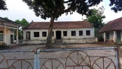 Giáo họ Phúc Châu Hạ ở Hà Nam kêu cứu vì bị chính quyền cướp đất