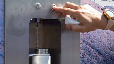 Cảnh báo về việc uống nước máy khi đang mang thai