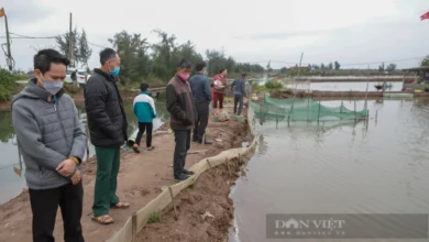 Cuộc đàn áp dân ở Cồn Xanh ở Nam Định: Một Formosa thứ hai