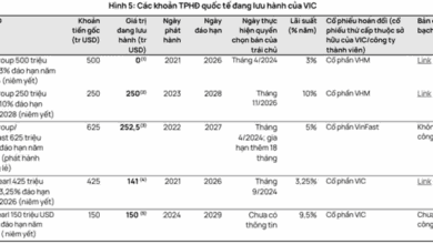 Lãi mẹ đẻ lãi con: Vingroup đang cầm cự với bẫy nợ nần