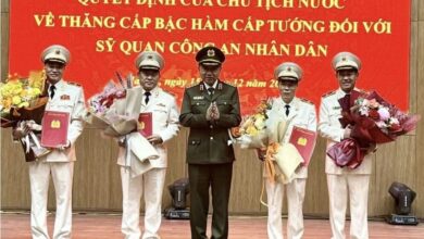 Thời kỳ quân phiệt mới: Tô Lâm Nam tiến, thôn tính thành Hồ