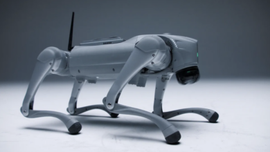 Chó robot tập đi đứng nhờ ‘bộ não AI’