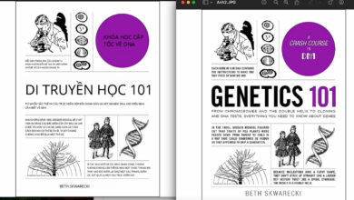 Ứng dụng AI dịch chữ trong ảnh của kỹ sư Việt