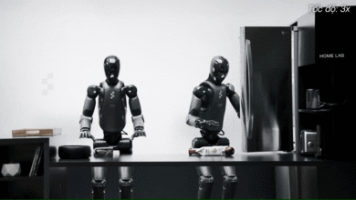 Robot hình người sẽ làm việc nhóm như thế nào