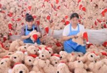 Nhà xuất khẩu Trung Quốc: ‘Áp lực không đến từ Mỹ, mà từ Việt Nam’