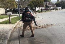 Santa Clara County leaf blower ban dropped over ICE fears