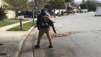 Santa Clara County leaf blower ban dropped over ICE fears