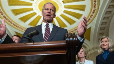 Democrats want to force a vote on Trump’s memecoin activity