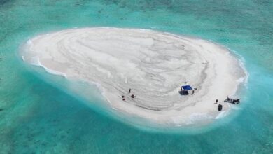 Vietnam enters fray at disputed South China Sea sandbank