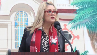East San Jose cultural district nets K grant