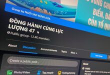 Chính sách visa mới của Hoa Kỳ lột trần mặt thật của dư luận viên cực đoan