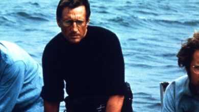 Khám phá những điều thú vị ít ai biết về phim ‘Jaws’