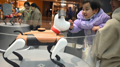 Thú cưng AI được ưa chuộng ở Trung Quốc